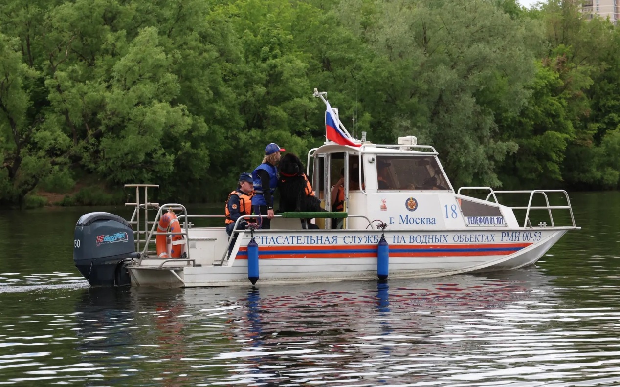 В Москве из-за жары усилили патрулирование водоемов