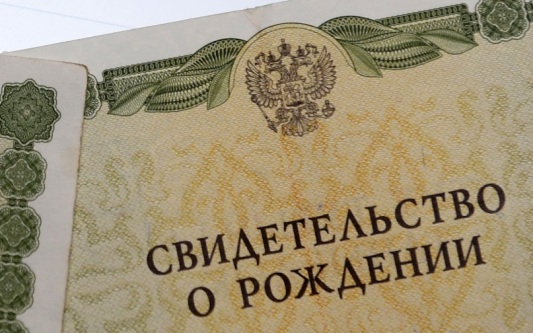 В Госдуме напомнили о важности свидетельства о рождении