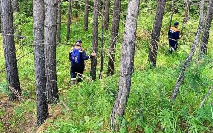 Спасатели за сутки вывели из леса в Красноярском крае двух заблудившихся женщин