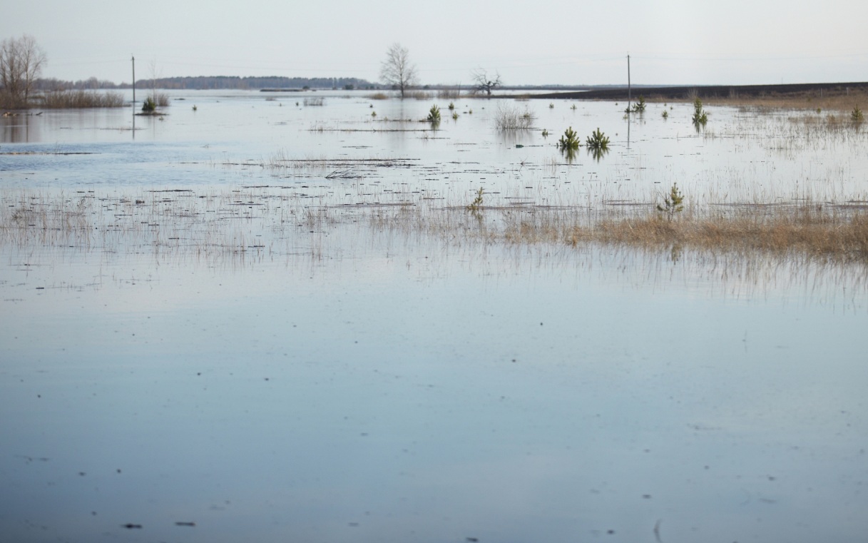 В Новой Ляле на Урале эвакуируют жителей улицы из-за повышения воды в реке