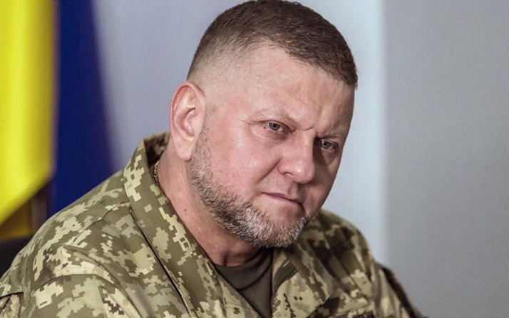 Историк: слова Залужного о НАТО вернули Украину к реальности