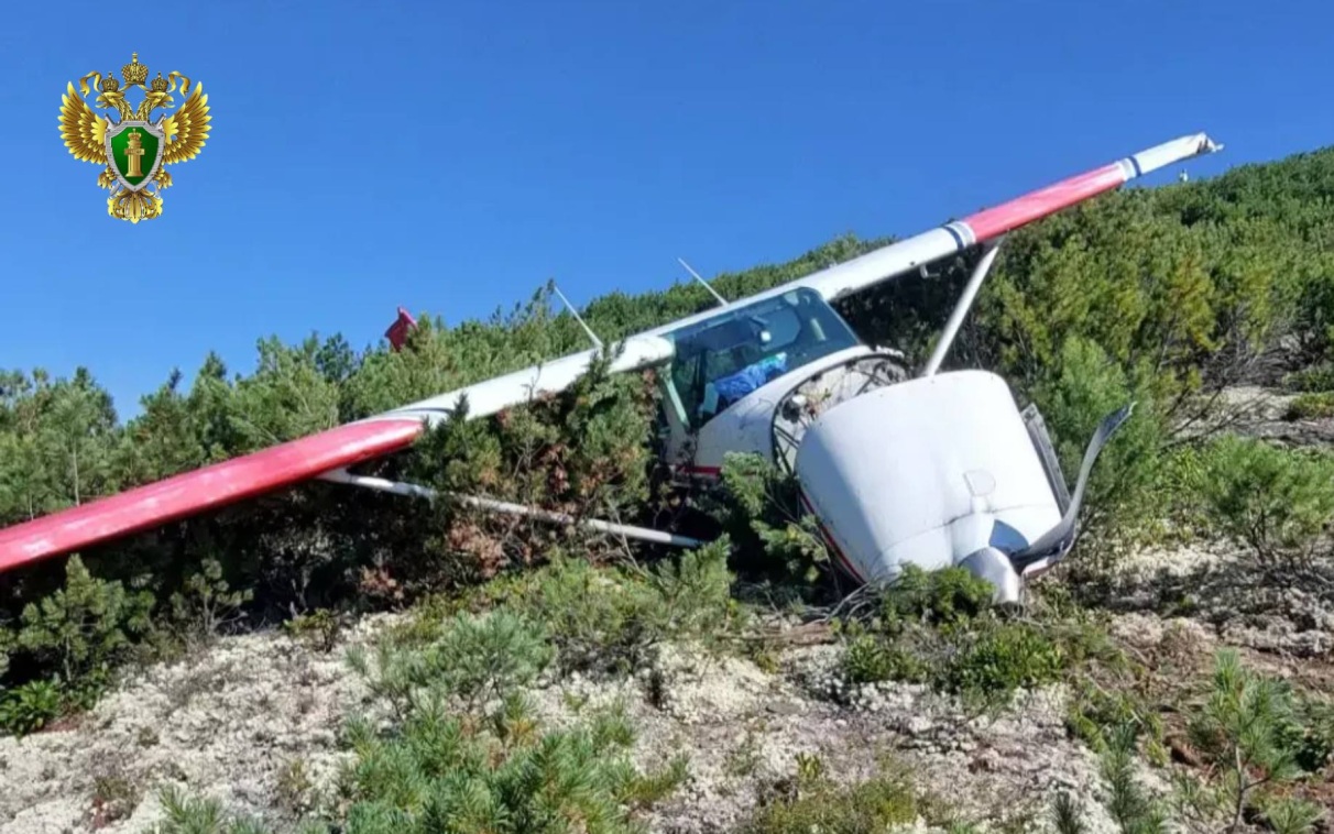 Опубликованы кадры с места падения самолета Cessna в Иркутской области