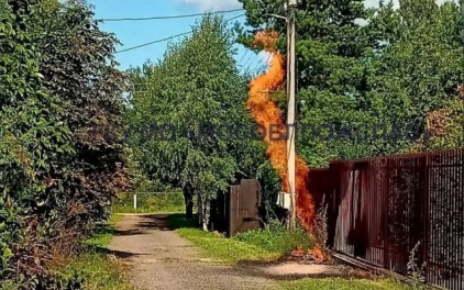 Пожарные рассказали о последствиях покоса триммером газовой трубы