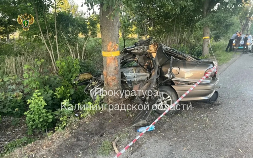Машина въехала в дерево в Калининградской области, три человека погибли