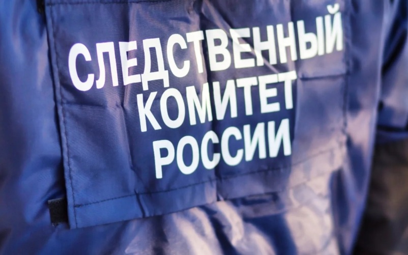 На Камчатке третий месяц ищут пропавшую 78-летнюю местную жительницу