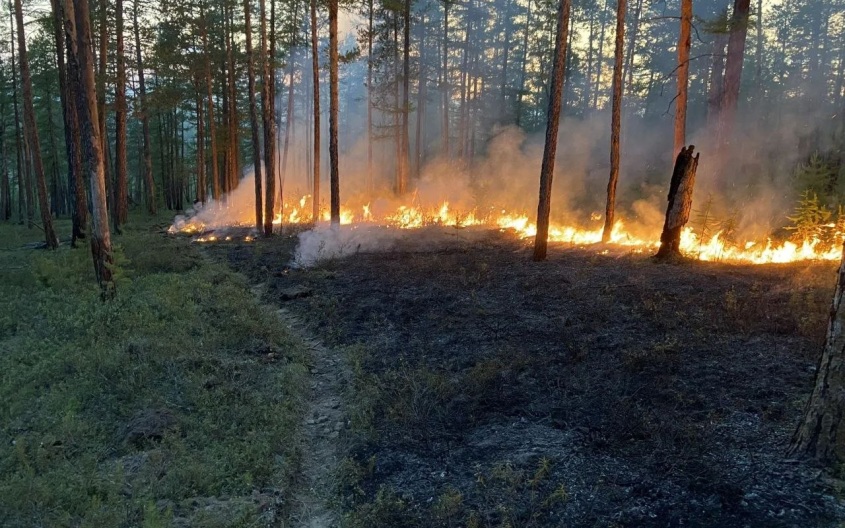 В Красноярском крае площадь за сутки ликвидировали 9 лесных пожаров