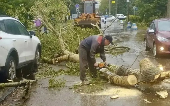 В Нижнем Новгороде от непогоды никто не пострадал, смерч повалил 4 дерева