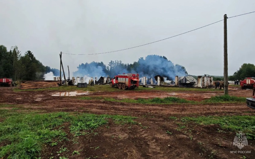 В Кировской области сгорела ферма, погибли 26 овец и около 500 голов птицы