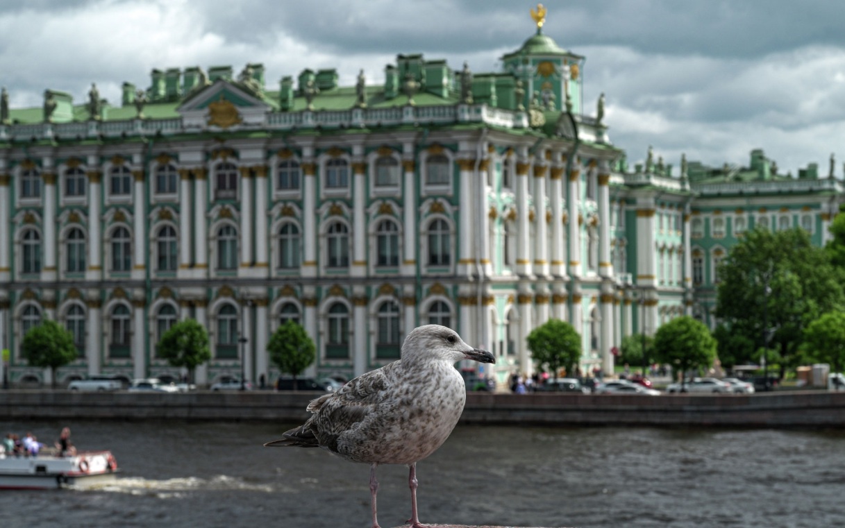 Эрмитаж 1 сентября сделает бесплатным вход для учителей и школьников
