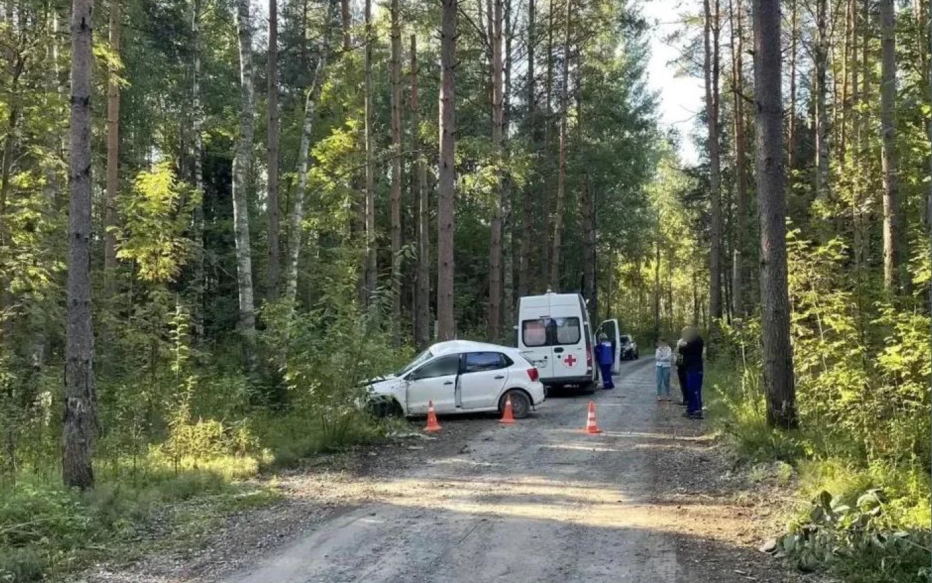 В Вологодской области иномарка врезалась в дерево, погибли двое