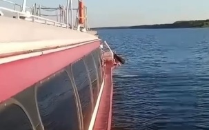 В Ярославской области теплоход сел на мель, организована проверка