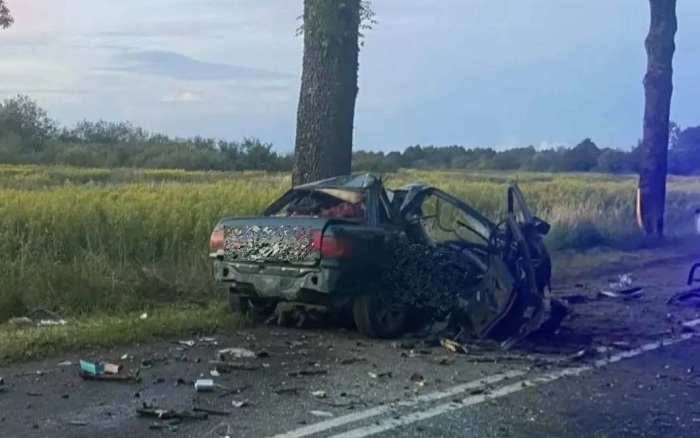 Автомобиль врезался в дерево в Калининградской области, водитель погиб