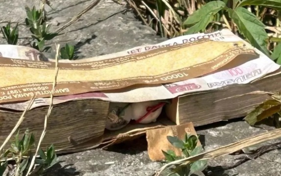 Владимиров: в Кавминводах нашли пачку купюр, в которой возможно находится бомба