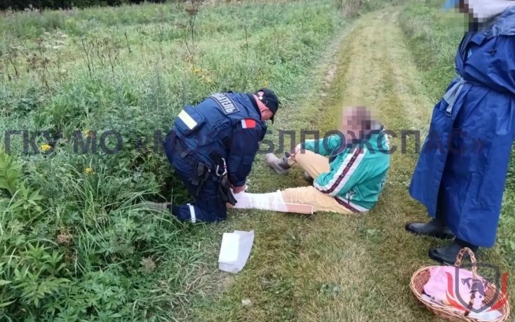 Спасатели пришли на помощь женщине, укушенной змеей в Подмосковье