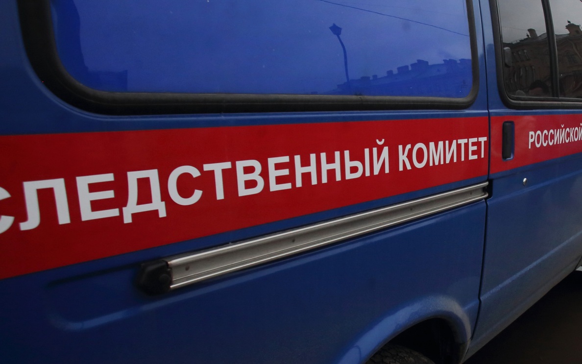 "Там руки": расчленивший семейную пару в Истре показал, где спрятал останки