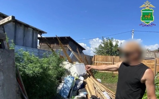 Новый урожай конопли привел жителя поселка ЕАО к уголовному делу