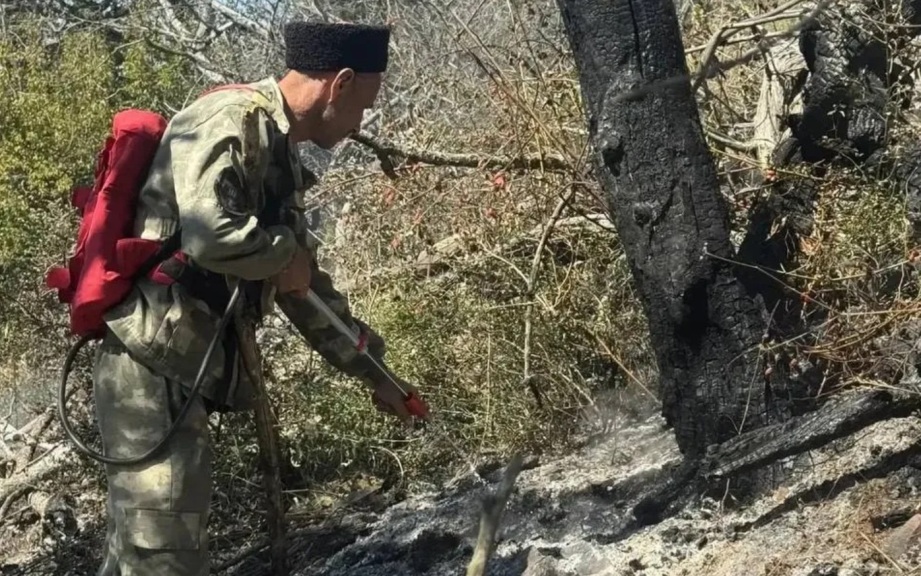 Пожарные локализовали возгорание в заповеднике "Утриш" в Анапе