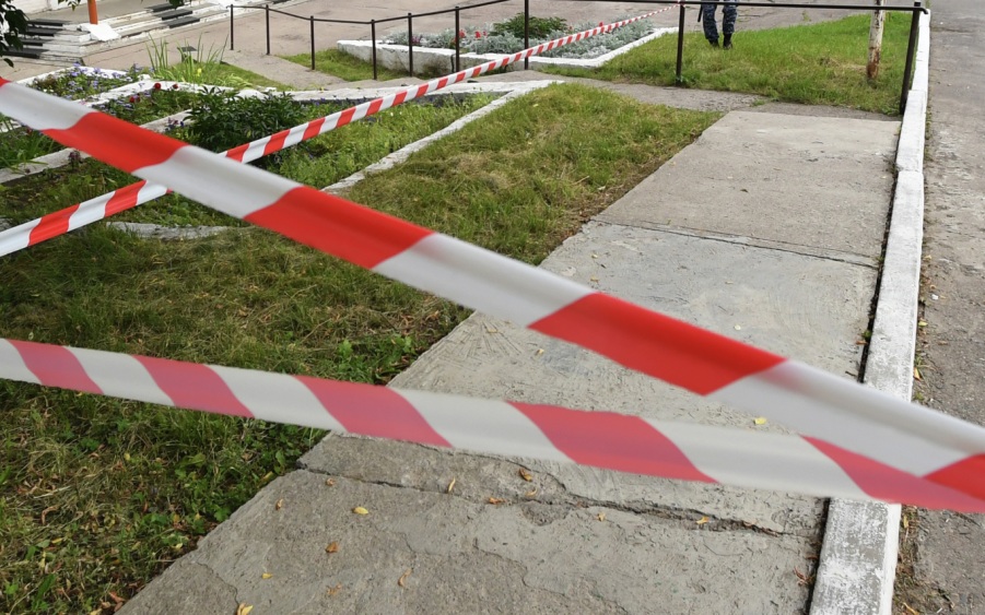 В Москве дерево рухнуло на прохожих, один человек пострадал