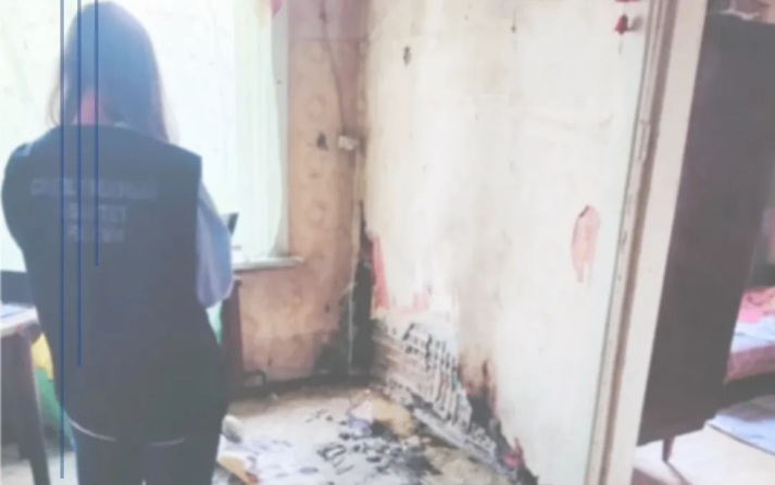 Житель Нижегородской области попытался сжечь сожительницу заживо