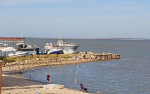В Азовском море появились новые виды рыб