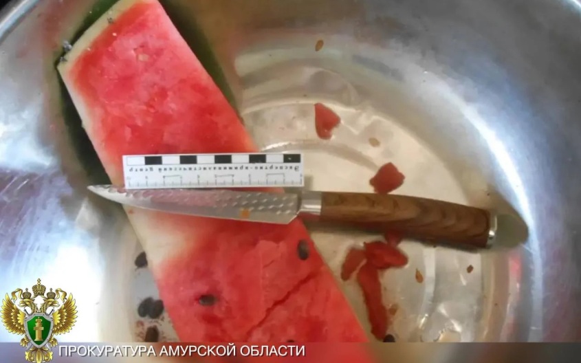 Пенсионерка из-под Благовещенска пойдет под суд за убийство сожителя