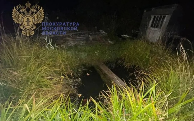 Трехлетний мальчик утонул в искусственном пруду у частного дома в Подмосковье