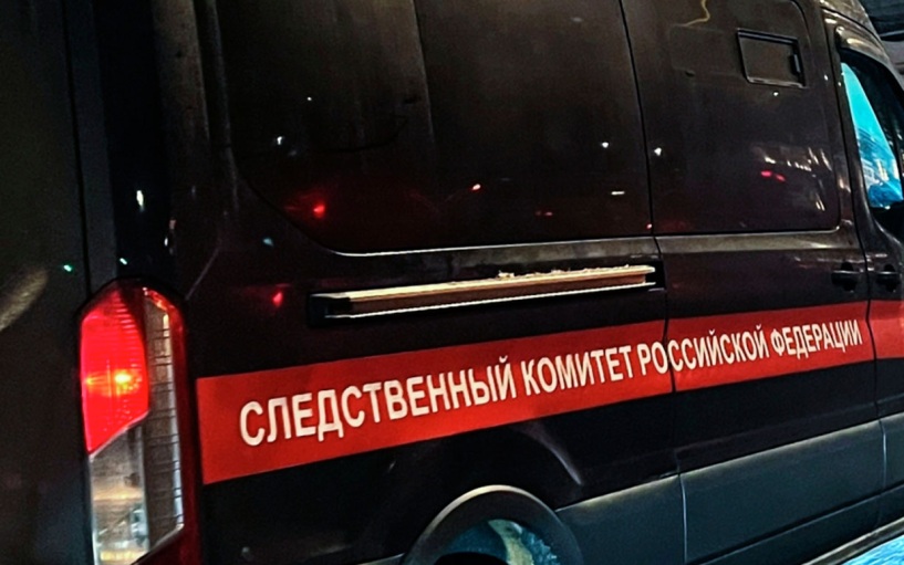 Смертью убитых медведем сборщиков ягод в Иркутской области занялся СК