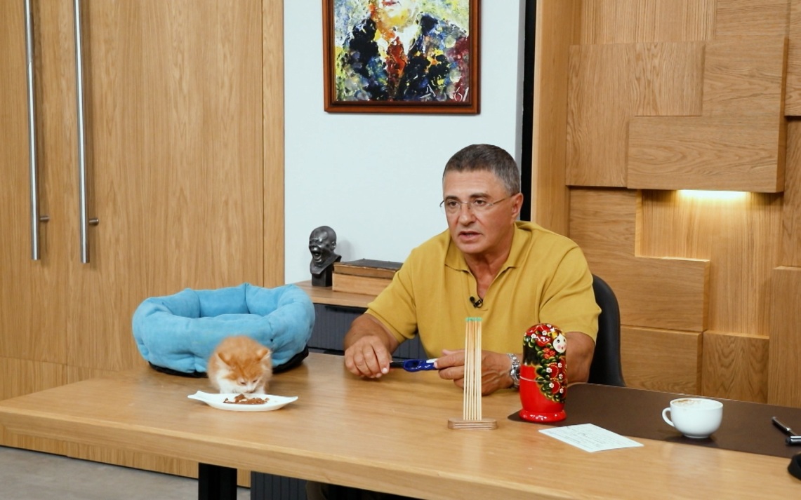 Письмо в будущее: Мясников рассказал, для чего человеку надо продолжать род