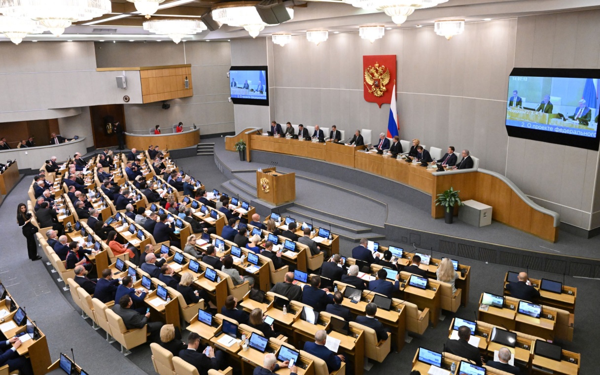 В Госдуме обсудили наказание за оскорбления матерей-одиночек