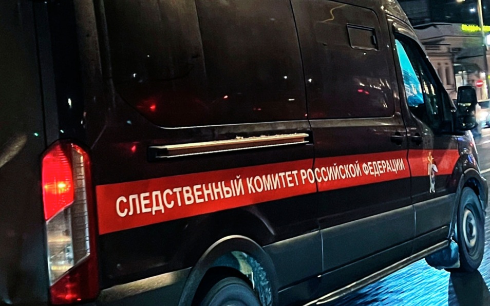 Бастрыкину доложат о ситуации с отравлением детей в лагере на Сахалине