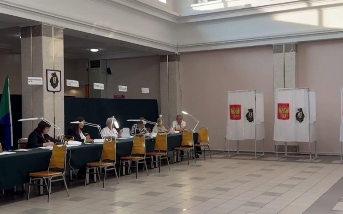 Медведев озвучил предварительные данные по явке на выборы