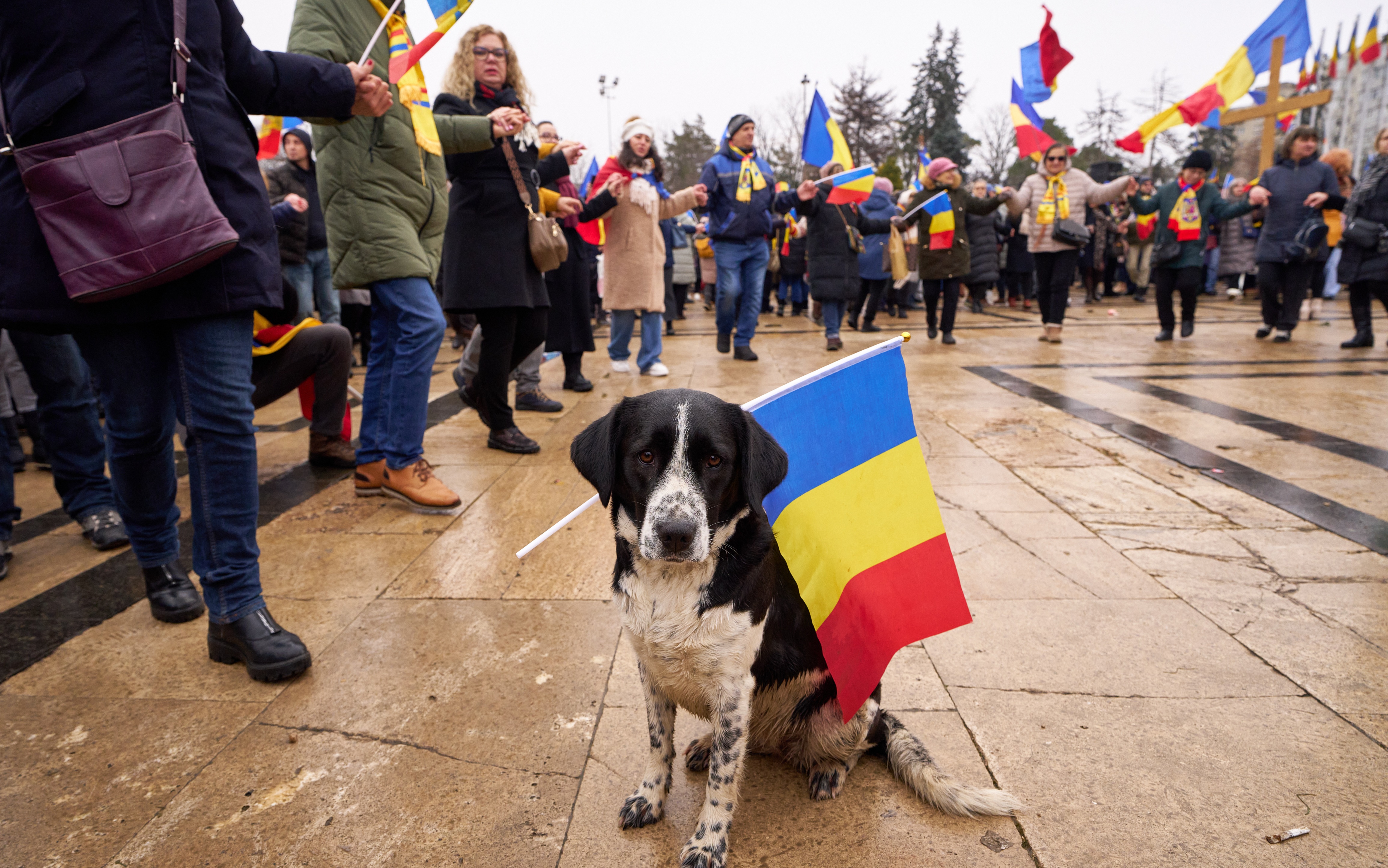 Входящая в состав НАТО Румыния построит дороги к границам Украины