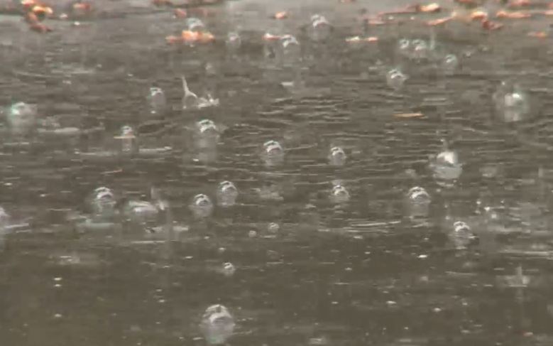 Около 8 литров воды вылилось 22 сентября на каждый квадратный метр в Москве