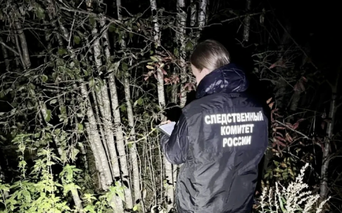 В Вологодской области медведь напал на мужчину и нанес ему смертельные раны
