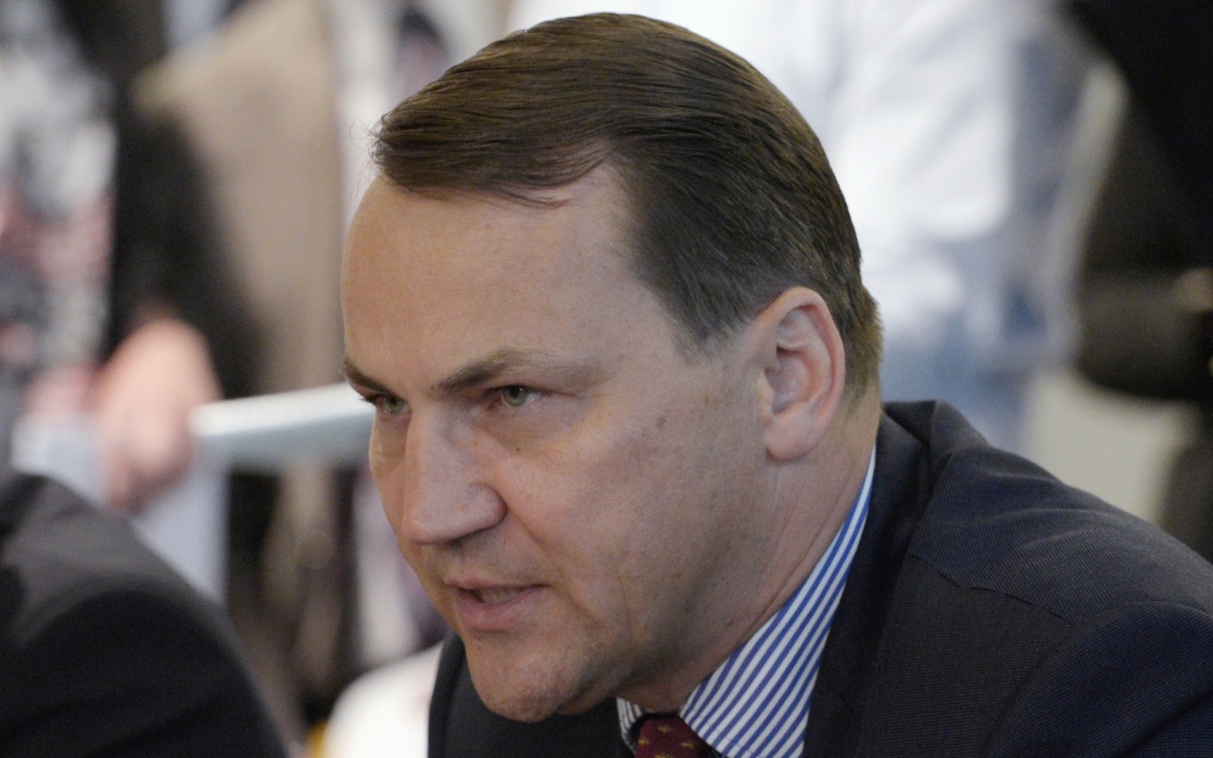Сикорский выразил надежду на то, что РФ остановит боевые действия