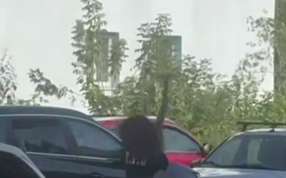 В Нижнем Новгороде девушка с кувалдой разгромила несколько машин