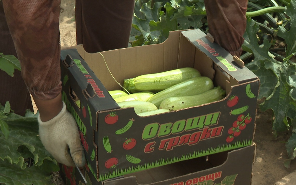 Врач назвала полезный продукт при гипертонии и сердечно-сосудистых болезнях