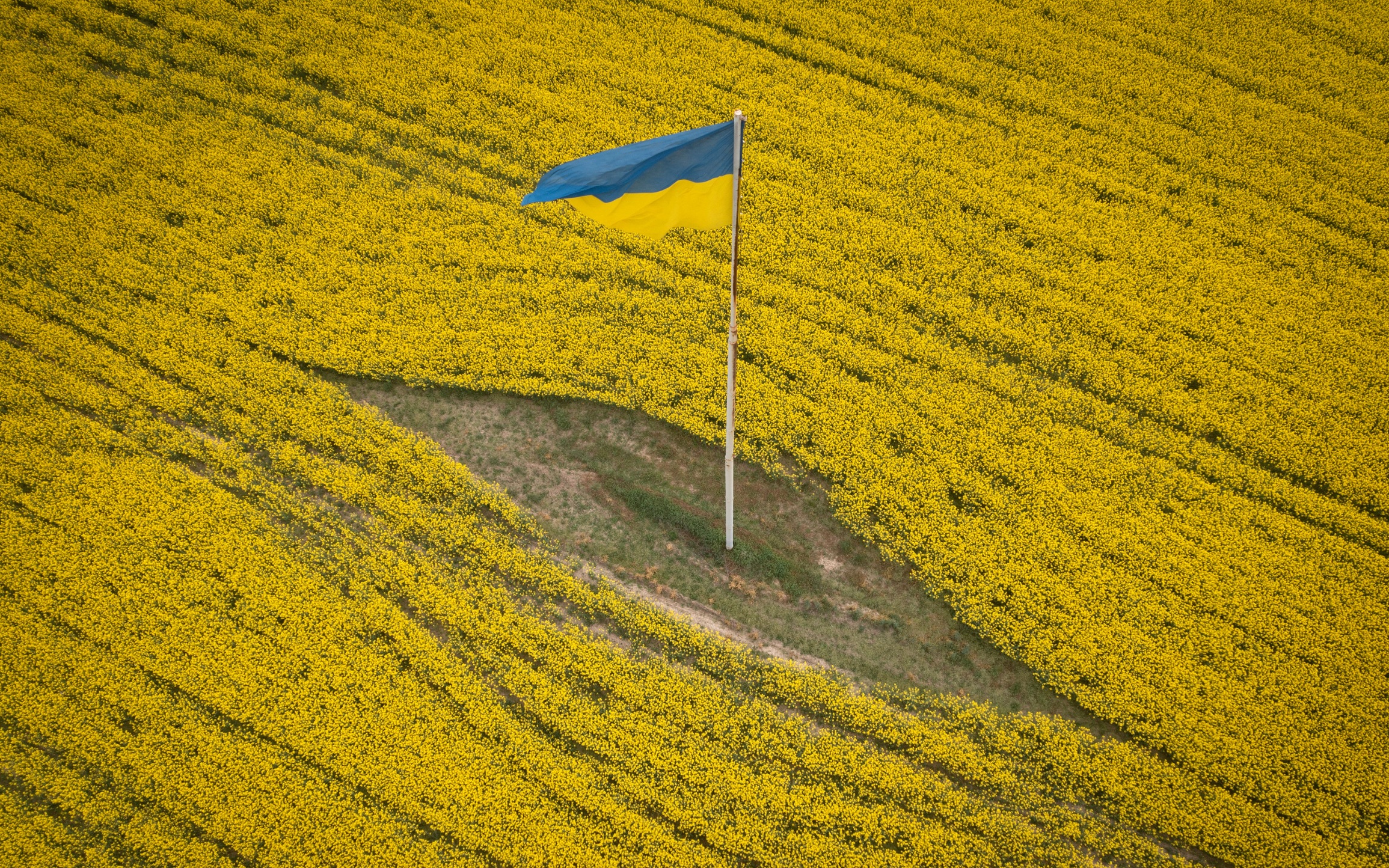 В США заявили о начале для Украины самого сложного этапа конфликта