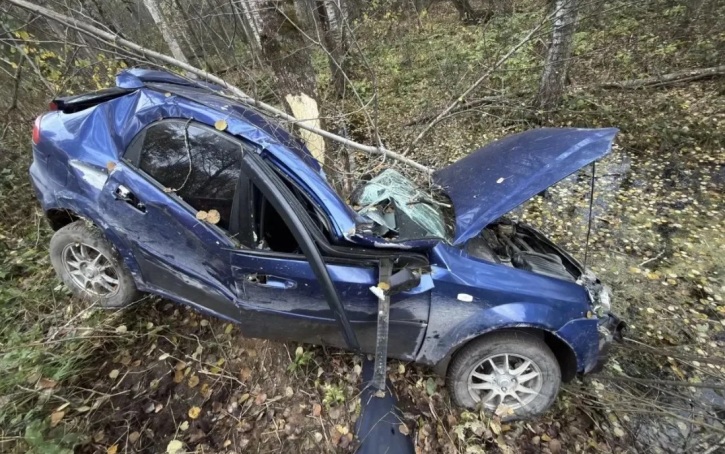 В Вологодской области авто съехало в кювет — погиб водитель