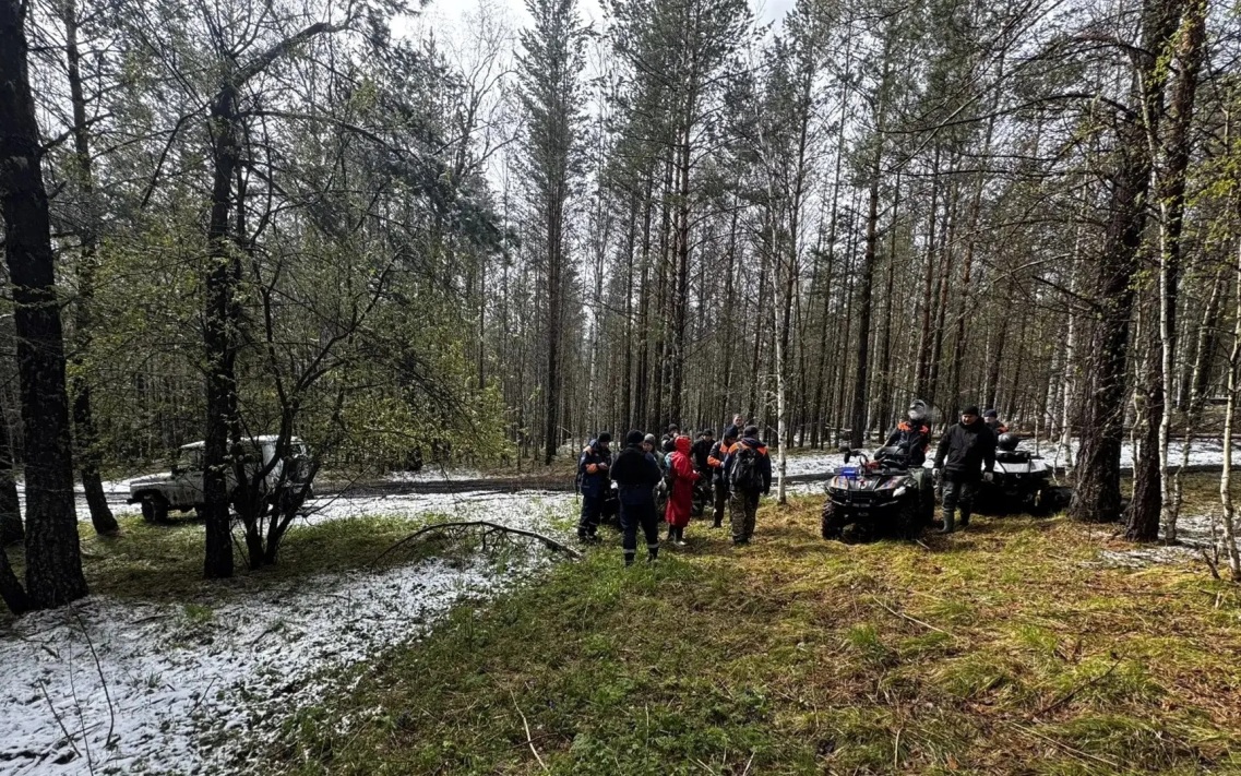 За год проведено 11 поисковых операций на месте пропажи семьи Усольцевых