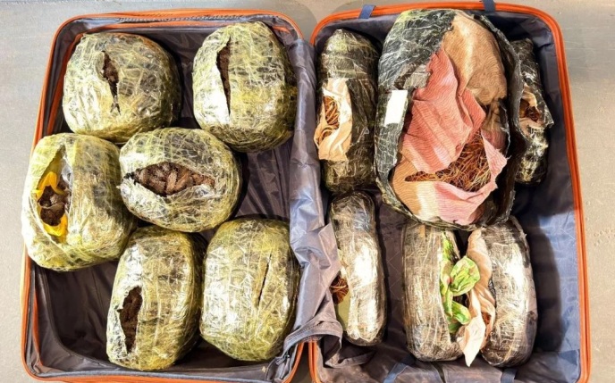 Партию трепанга и женьшеня на 30 млн рублей пытались вывезти из Приамурья в КНР