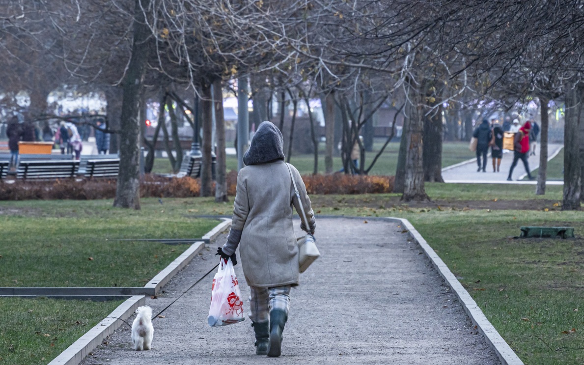 Синоптики рассказали, где в московском регионе ночью были первые заморозки