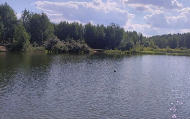 Парень и девушка прыгнули с моста в Черкизовский пруд в Москве