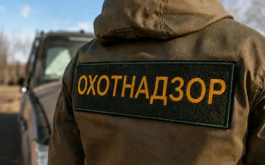 Жители Забайкалья получат 15 тысяч рублей за добытого медведя