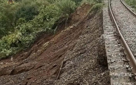 Первокурсник вуза погиб во время посвящения в студенты в Ленобласти