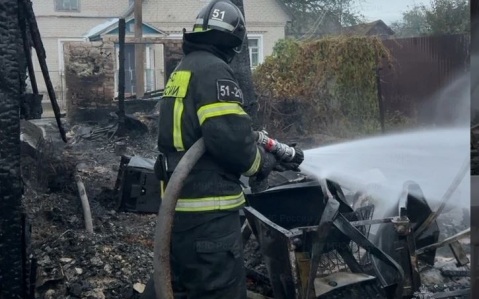 Годовалая девочка и ее бабушка погибли ночью при пожаре в Брянской области
