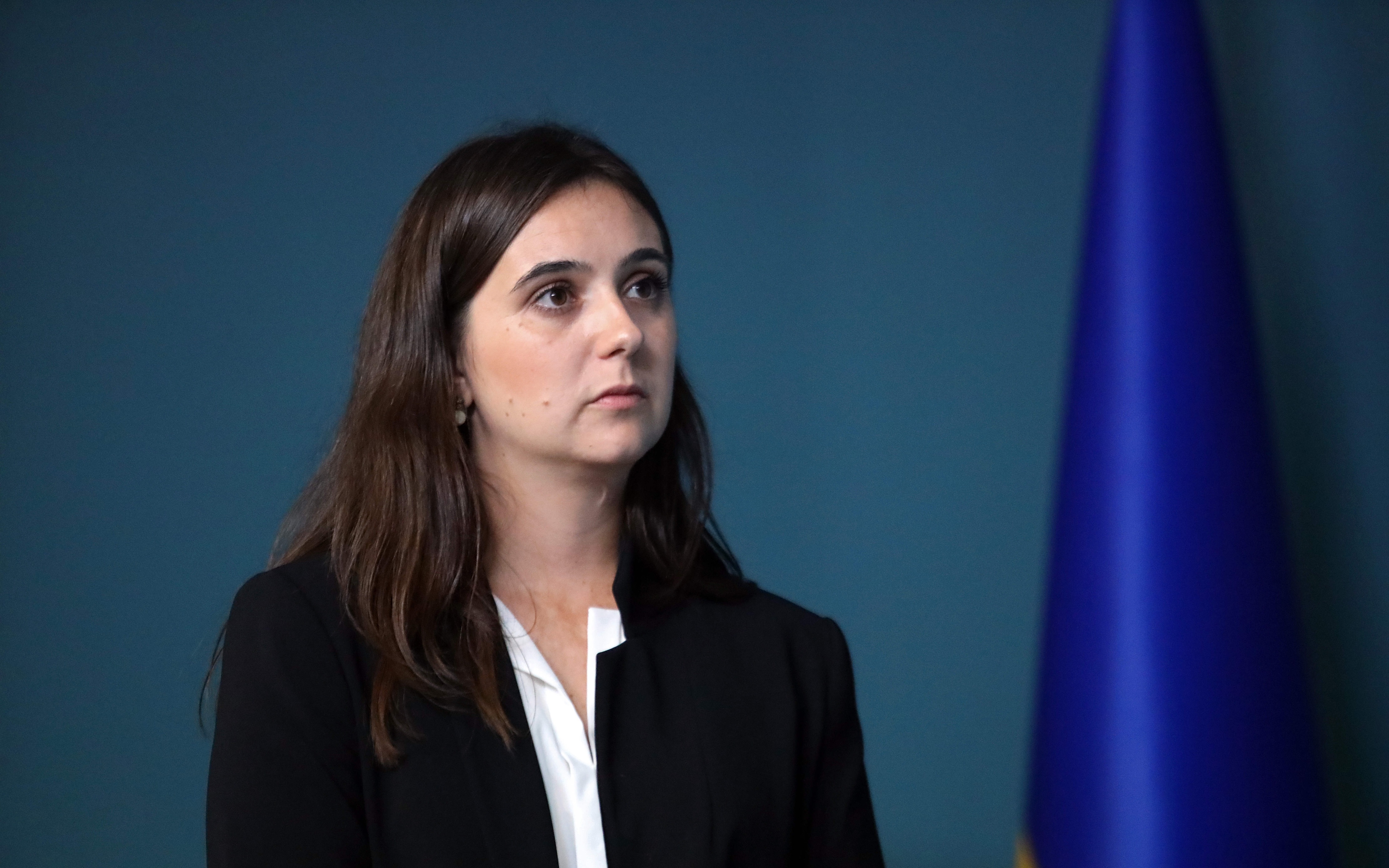 Мендель: идея НАТО умерла на Украине