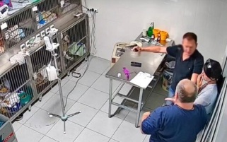 Неизвестный мужчина жестоко избил пожилую собаку на парковке в Казани