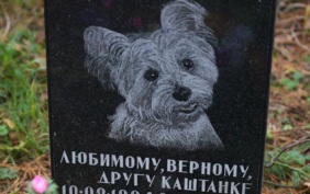 В Венеции разрешили хоронить домашних животных рядом с их хозяевами