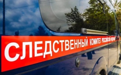 Видео челябинского блогера с 7-летней девочкой просят проверить на педофилию